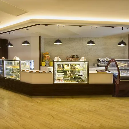 酒店 阿尔屯塔斯大酒店 阿克萨赖